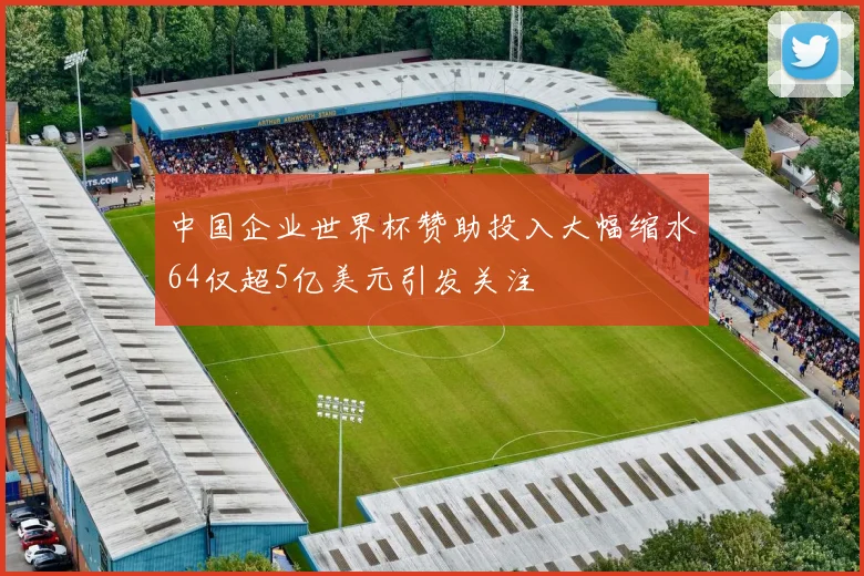 中国企业世界杯赞助投入大幅缩水64仅超5亿美元引发关注