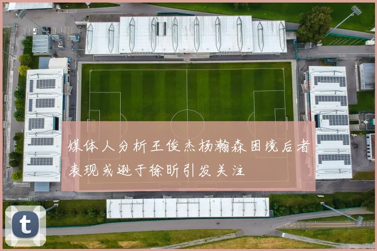 媒体人分析王俊杰杨瀚森困境后者表现或逊于徐昕引发关注