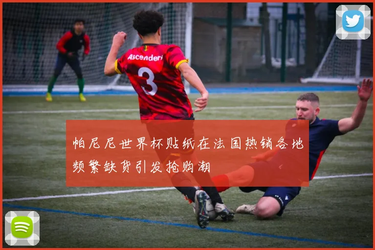 帕尼尼世界杯贴纸在法国热销各地频繁缺货引发抢购潮