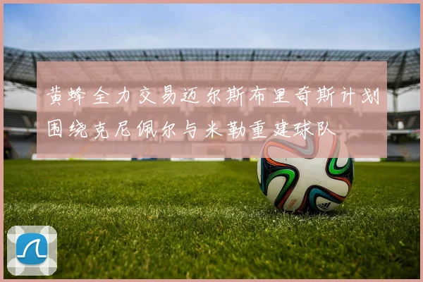 黄蜂全力交易迈尔斯布里奇斯计划围绕克尼佩尔与米勒重建球队
