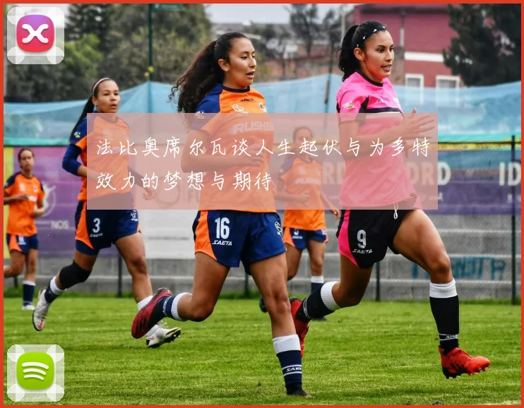 法比奥席尔瓦谈人生起伏与为多特效力的梦想与期待
